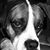 Glenn Rinehart's profile image