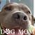 Patricia M. Padilla's profile image