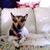 Eugenia Schwanke's profile image