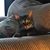 Colleen Beven Barkley's profile image