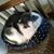 Cornelia DeVeau's profile image