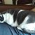 Lisa Michelle Hodak's profile image