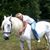 Anna Foulk's profile image