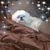 Ellie Medford's profile image