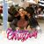 Wilman Rodriguez's profile image