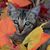 Lizzie Broussard's profile image