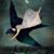 Tina Angelisanti's profile image