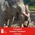 Miranda Redenbaugh's profile image