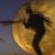 Mike Novak's profile image