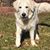 Sarah DeBuse Nelson's profile image