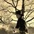 Greg Demars's profile image