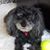 Debbie Price's profile image