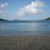Shirley Scranta's profile image