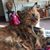 Donna James's profile image