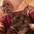 Bob Troutt's profile image