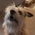 Greg Carter's profile image