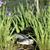 Ralph Flickinger's profile image