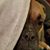 Kathy Binni's profile image