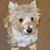Judy Harkless's profile image