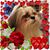 Laquita Greeson's profile image