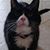 Lynn Marie's profile image