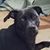 Darlene Creaser Lawson's profile image