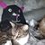 Kathy McDonald-johnson's profile image