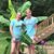 Melissa Boyer-Horan's profile image