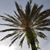 Linda Maust Jacobs's profile image