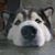 Sarah Ann Hosie's profile image