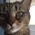 Greg Teta's profile image