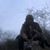 Candelario Sanchez's profile image