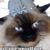 Arlie Lamas's profile image