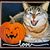 Kathy Lea Spears Bageant's profile image