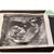 Kimberly Manning's profile image