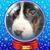 Tim Sauer's profile image