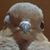Anna Arnold's profile image