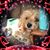 Courtney Harder's profile image