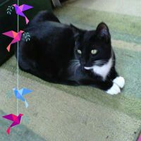 Joyce Martin's profile image