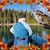 Keith Fritz's profile image