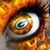 Paula Nichols-Gabriello's profile image