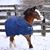 Susan B Laux's profile image
