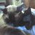 Karen Schreiber's profile image