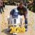 Ronnie Castellanos's profile image