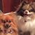 Linda Fulmer Baker's profile image