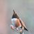 Nancy Mulvaney's profile image
