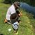 Earl Martin's profile image