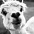 Crystal Brown's profile image
