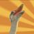 David Means's profile image