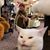 Rena Mottl's profile image